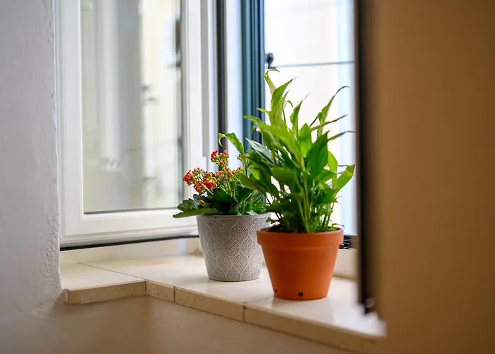 Penelope, Rustic Next To The Walls *