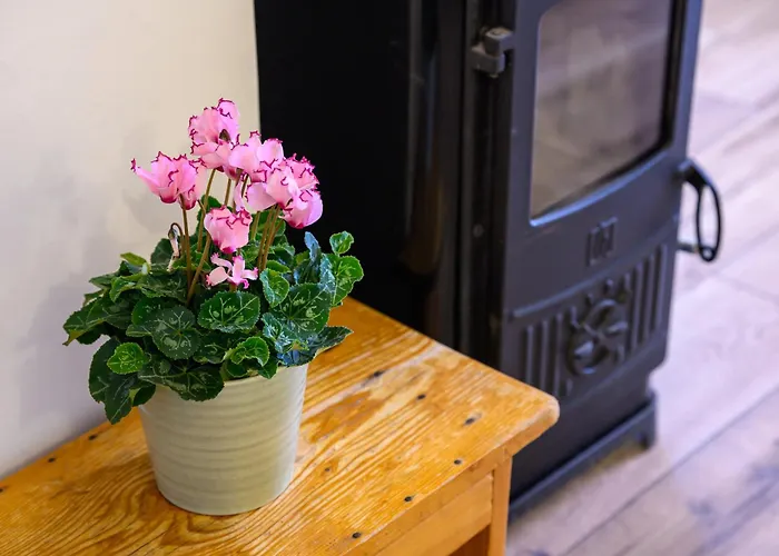 Penelope, Rustic Next To The Walls * 杜布罗夫尼克