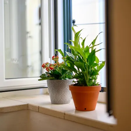 Penelope, Rustic Next To The Walls *