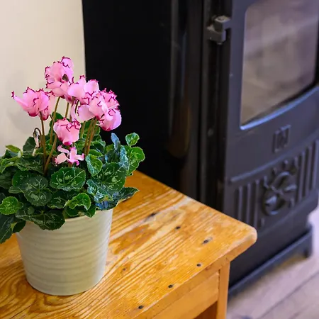 Penelope, Rustic Next To The Walls * Dubrovnik